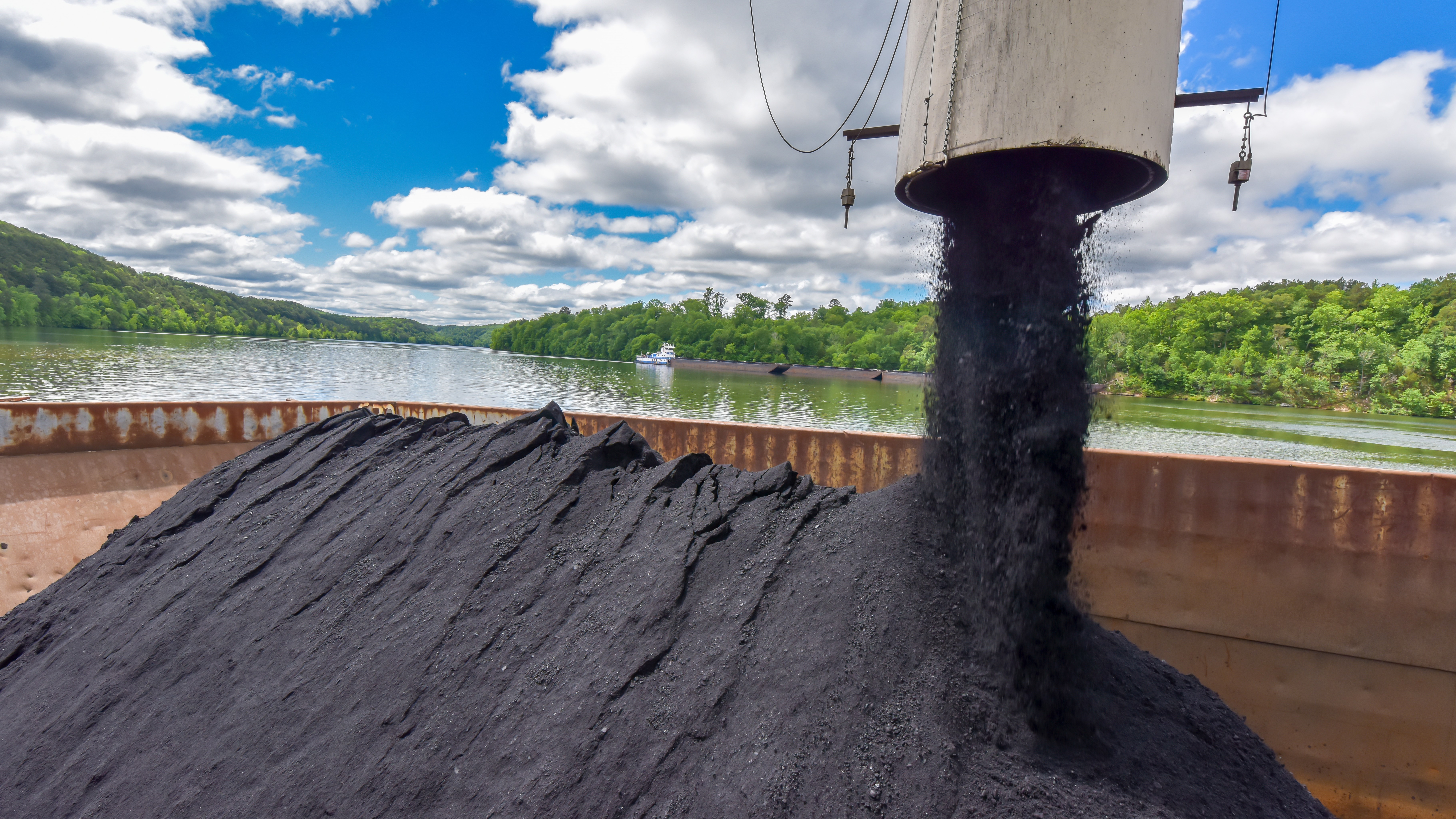 Warrior Met Coal
