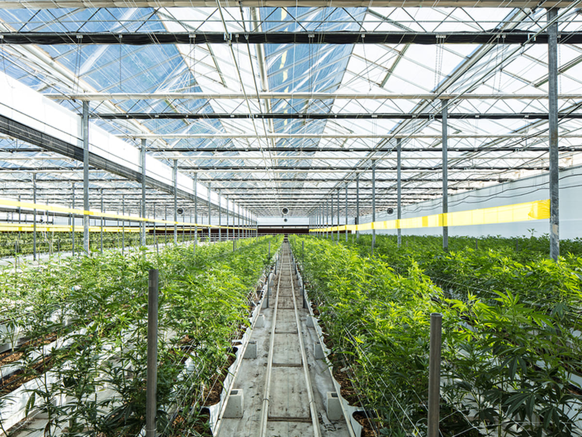 Innovative Industrial Properties