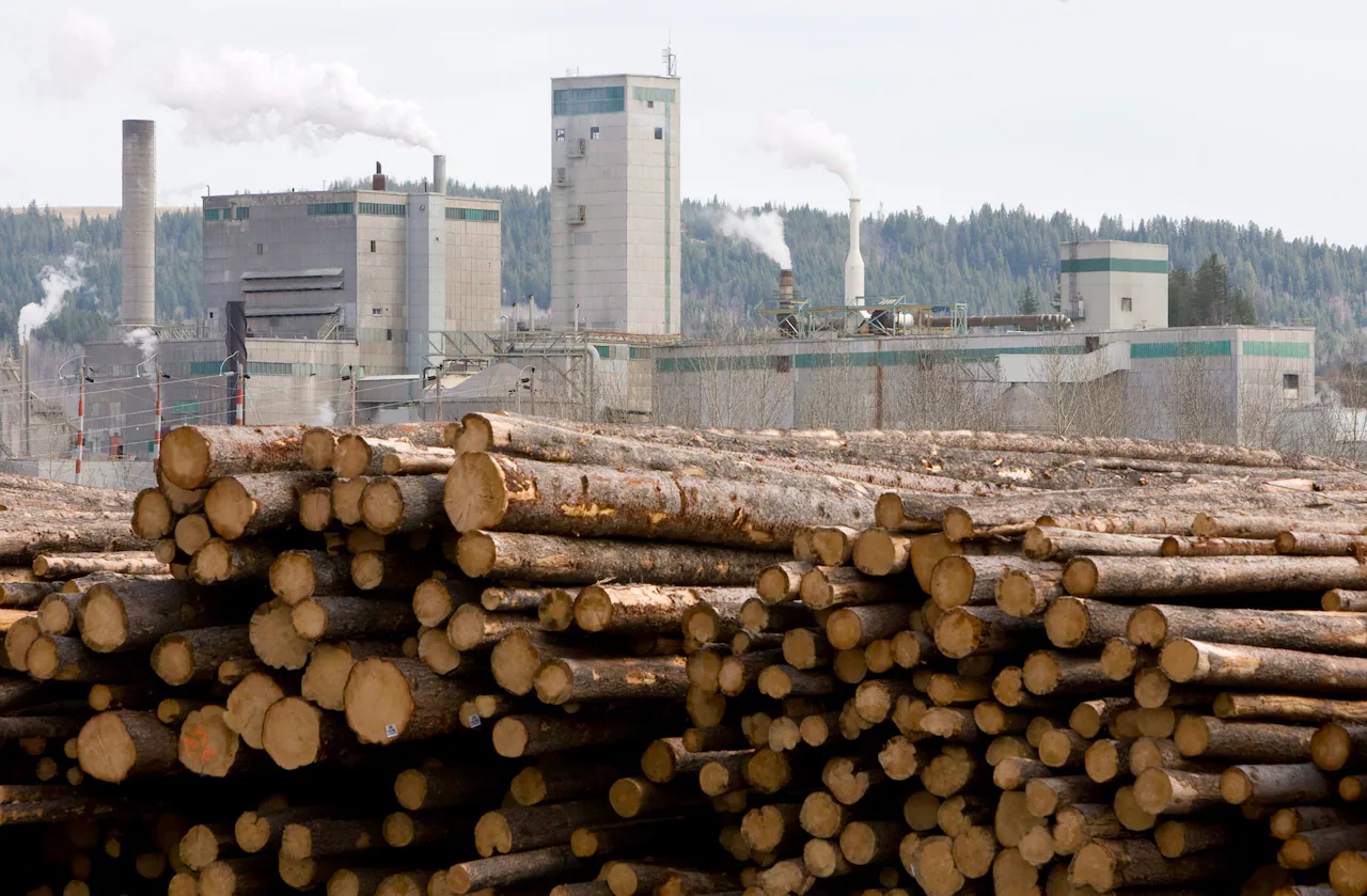 West Fraser Timber