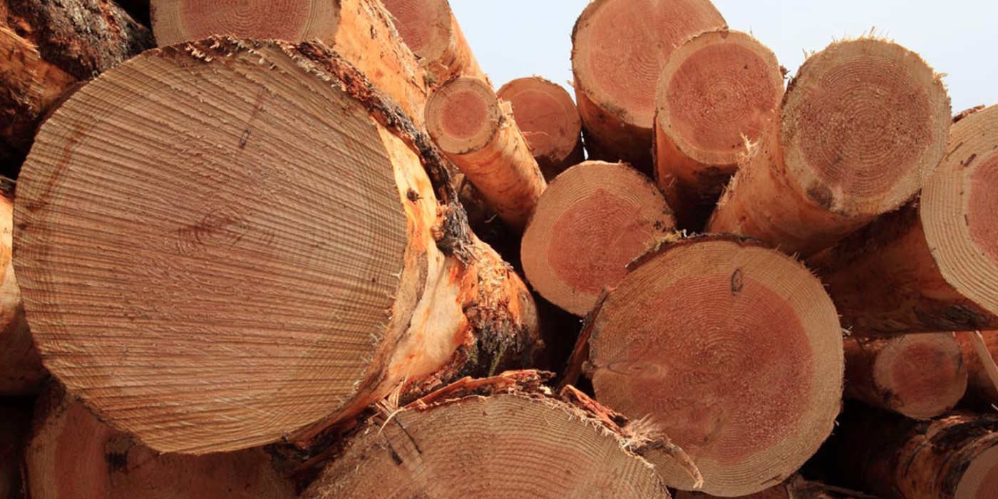 Weyerhaeuser